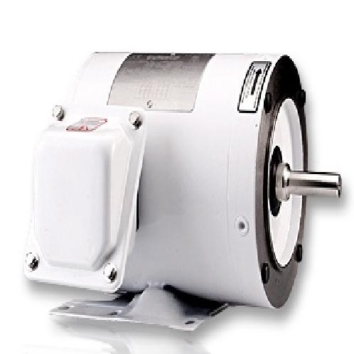 Wash-down Duty Motor